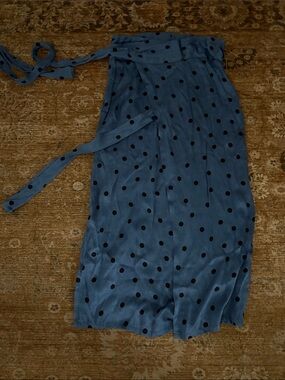 Zara Blue Polka Dot Midi Skirt
